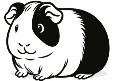 Meerschweinchen: kostenlose Ausmalbilder
