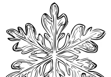 Schneeflocken: Ausmalbilder & Malvorlagen (kostenlos)