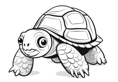 Einfache Schildkröte Ausmalbild für Kinder – Kostenlos downloaden