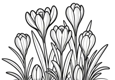Krokusse als einfache Malvorlage: Gratis zum Download