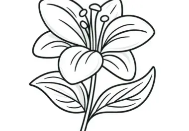 Lilienblüte zum Ausmalen (Kostenlos)
