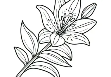 Filigrane Lilienblüte als Ausmalbild (Gratis)