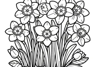 Narzissen Blüten: Bild zum Ausmalen (Kostenlos)