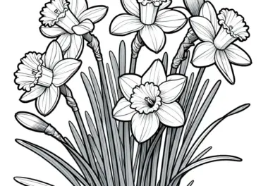 Narzissen Blüten: Realistische Malvorlage (Gratis)