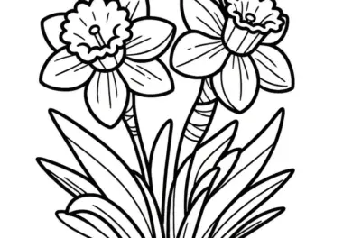 Wunderschöne Narzissen: Blumenbild zum Ausmalen (Gratis)