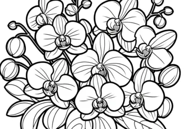 Orchideenblüten: Bild zum Ausmalen (Kostenlos)