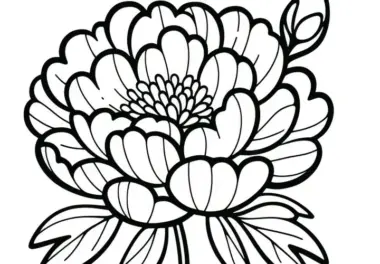Pfingstrosenblüte: Einfache Malvorlage zum Ausmalen (Gratis)