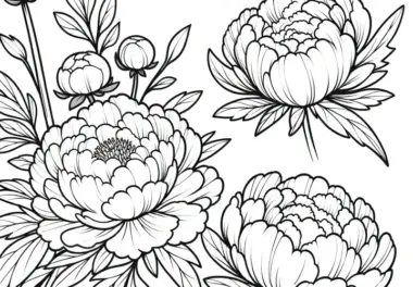 Pfingstrosen Blumenbild zum Ausmalen (Gratis)