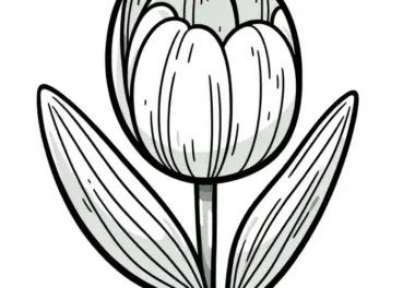 Tulpe als Ausmalbild zum Download (Kostenlos)