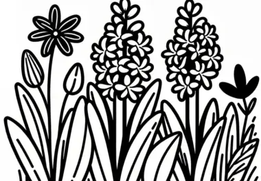 Hyazinthe: Frühlingsblume als Ausmalbild