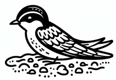 Uferschwalbe Vogel Europa Malvorlage Kostenlos