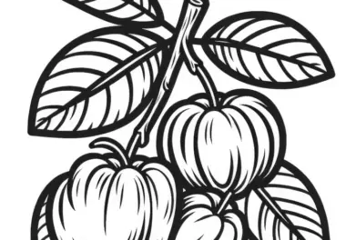 Früchte, Obst, Gemüse: Ausmalbilder