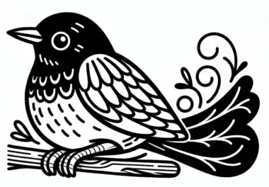 Amsel Ausmalbild – Vogel Kostenlos