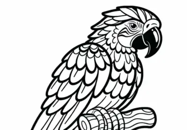 Ara-Vogel aus Südamerika als Ausmalbild gratis herunterladen