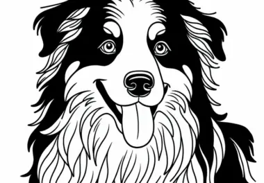 Australian Shepherd Malvorlage – Kostenloser Download für Ausmalfreunde