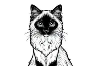 Ausmalvorlage einer Katze im balinesischen Stil – Kostenlos herunterladen