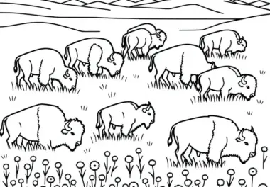 Bisonherde grast friedlich auf Wiese – Malvorlage einfach gratis