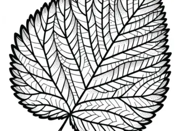 Blatt einer Ulme – Malvorlage für ein Herbstblatt zum Ausmalen und Download