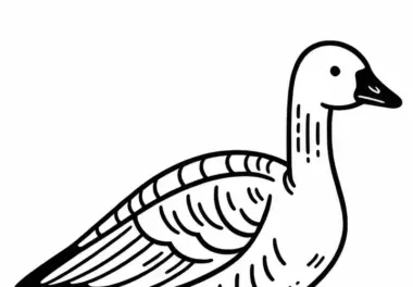 Ausmalbild der Blauflügelgans – Snow Goose aus Nordamerika