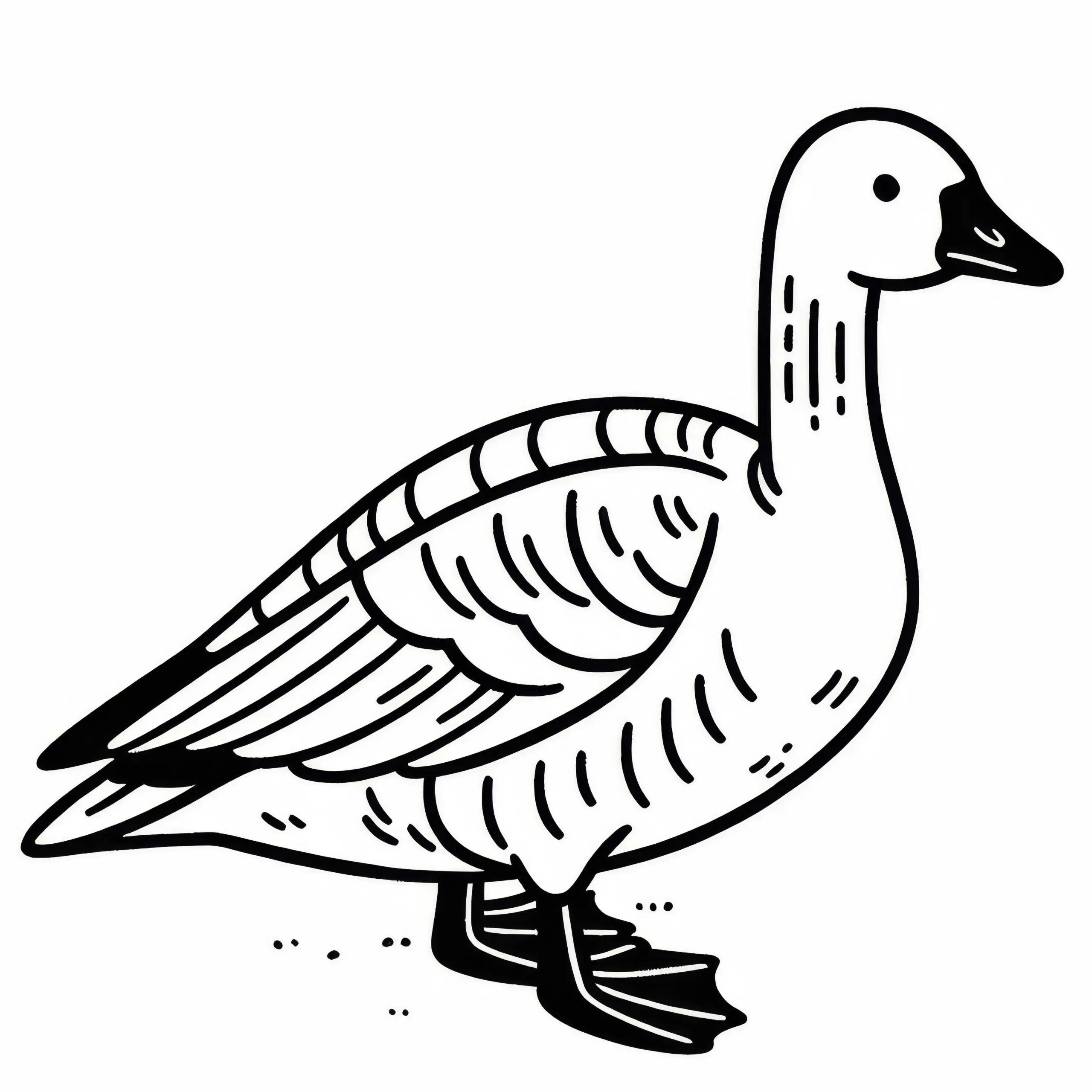 Ausmalbild der Blauflügelgans – Snow Goose aus Nordamerika