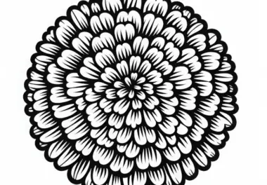 Tagetes: kostenlose Ausmalbilder