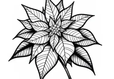 Blüte der Blume: Weihnachtsstern Ausmalbild Kostenlos