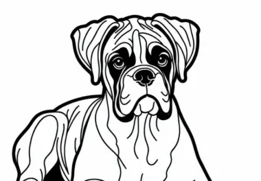 Boxer Ausmalbild Hund Gratis Herunterladen