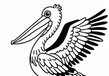 Braunpelikan – Brown Pelican – Vogel Nordamerika – Malvorlage kostenlos