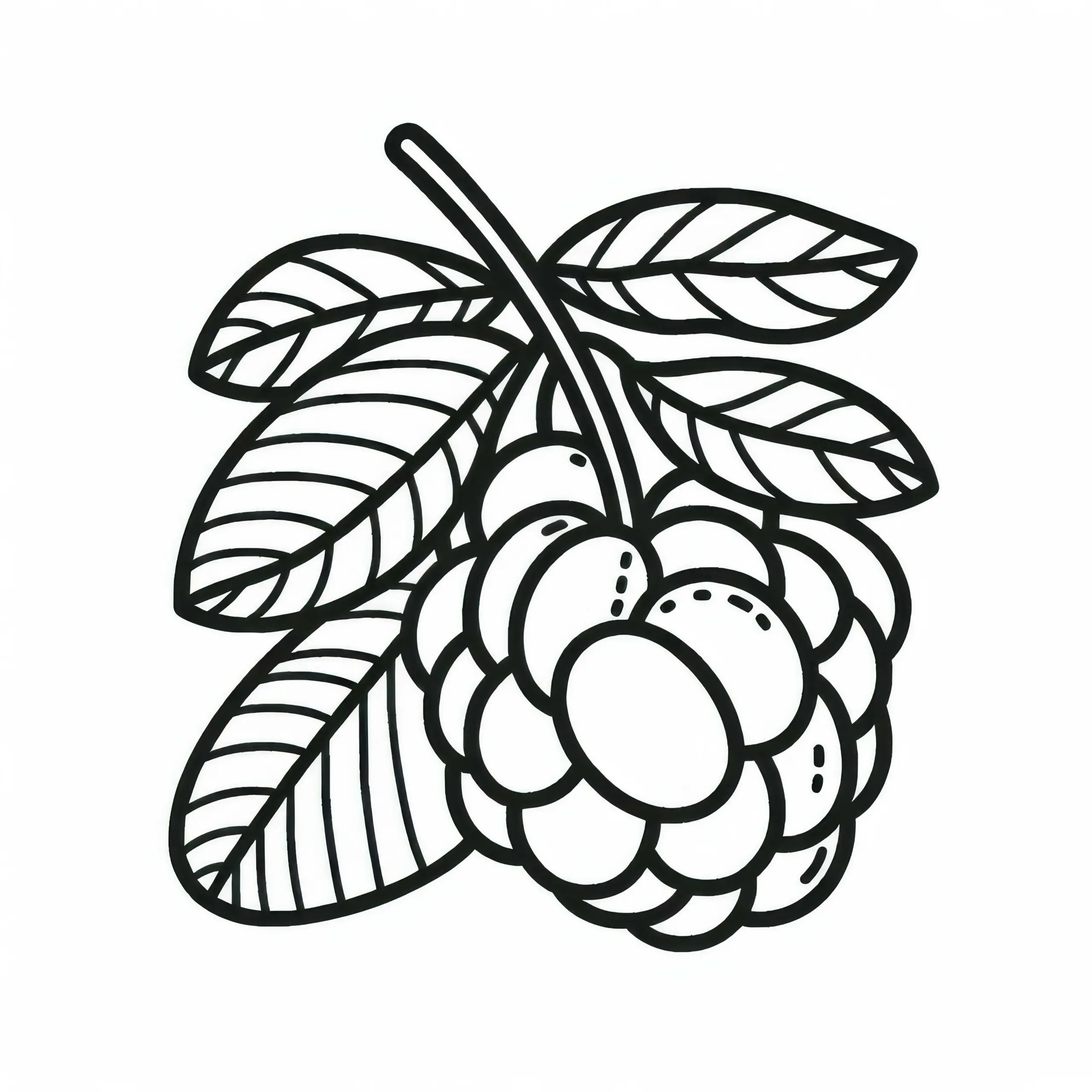 Camu Camu Malvorlage kostenlos (Ausmalbild)