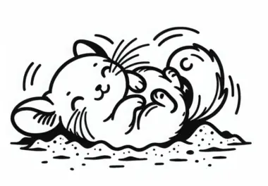 Chinchilla rollt sich im Sand, um sein Fell zu reinigen – Malvorlage einfach gratis