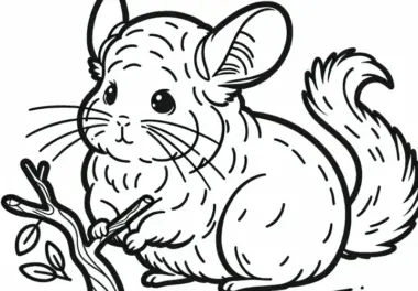 Chinchilla steht auf Hinterbeinen und knabbert an Zweig – Ausmalbild kostenlos