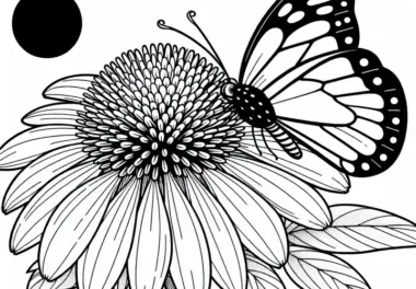 Echinacea-Blüte mit Schmetterling – kostenloses Ausmalbild für den Sommer