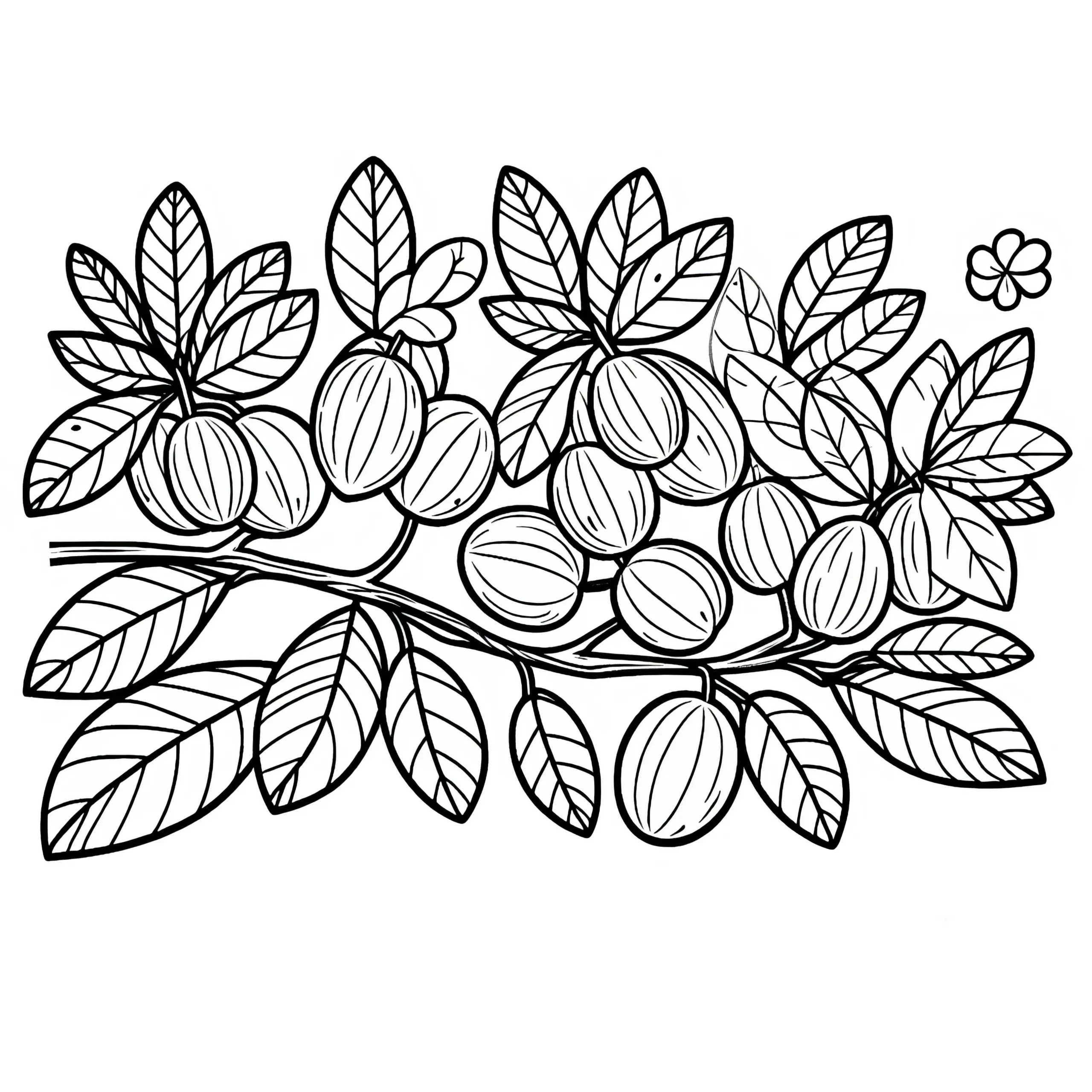 Falscher Mangobaum und Hog Plum – Ausmalbild zum Gratis-Download