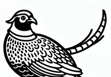 Fasan Vogel Europa Ausmalbild Kostenlos