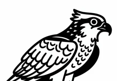 Fischadler – Osprey Vogel in Nordamerika als Ausmalbild kostenlos