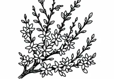 Ausmalbild von Forsythien – Kostenlose Malvorlage für Sträucher