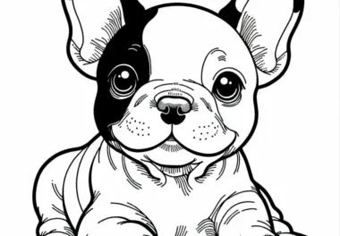 Französische Bulldogge Ausmalbild – Kostenloser Download