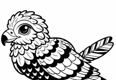 Gaukler Bateleur Vogel Afrika Malvorlage Kostenlos