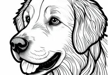 Golden Retriever Ausmalbild – Hund Kostenlos Herunterladen