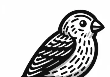 Hausgimpel (House Finch) Vogel aus Nordamerika – Ausmalbild kostenlos