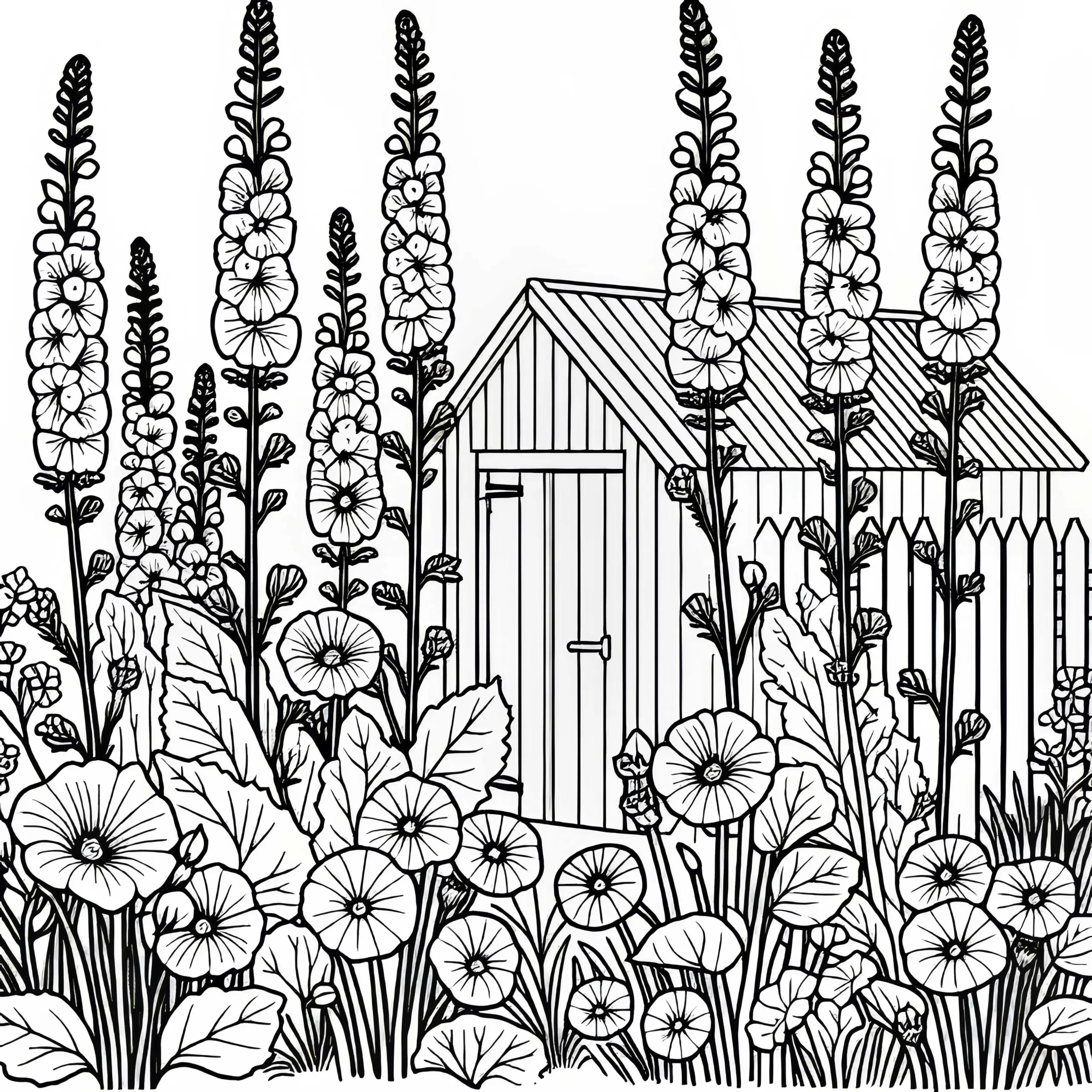 Hohe Malvenstängel vor Gartenschuppen – Malvorlage Sommerblume Kostenlos (Ausmalbild)
