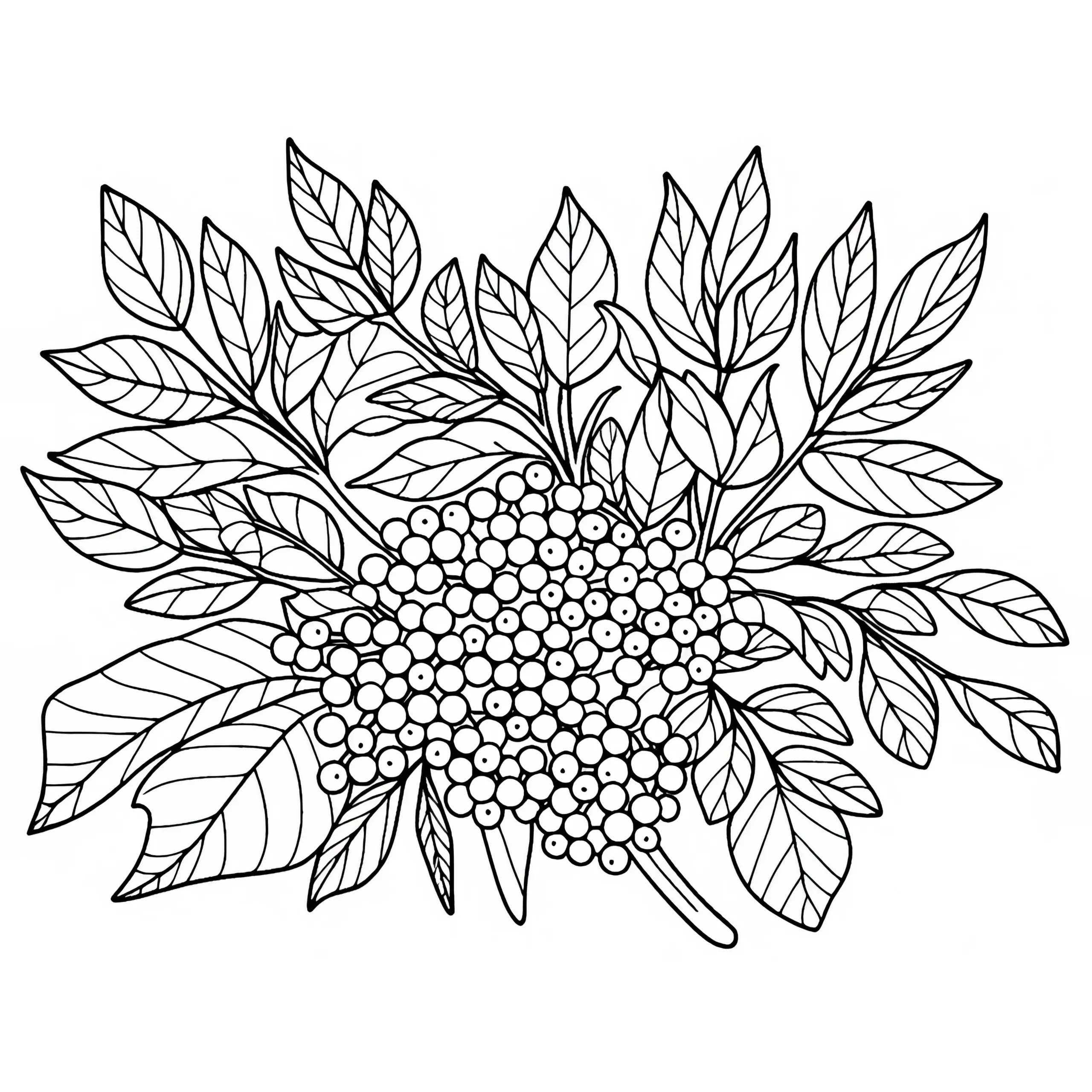 Holunderbeeren Ausmalbild Gratis