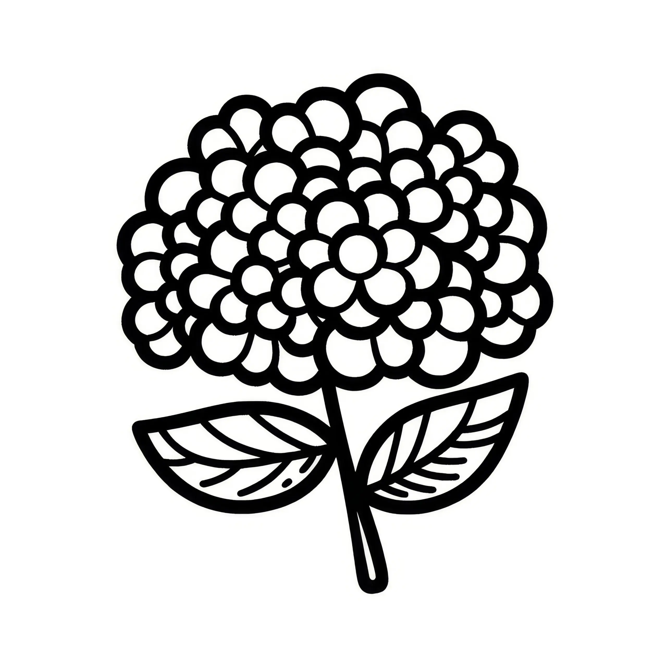Hortensienblüte: Einfache Malvorlage (Gratis) (Ausmalbild)