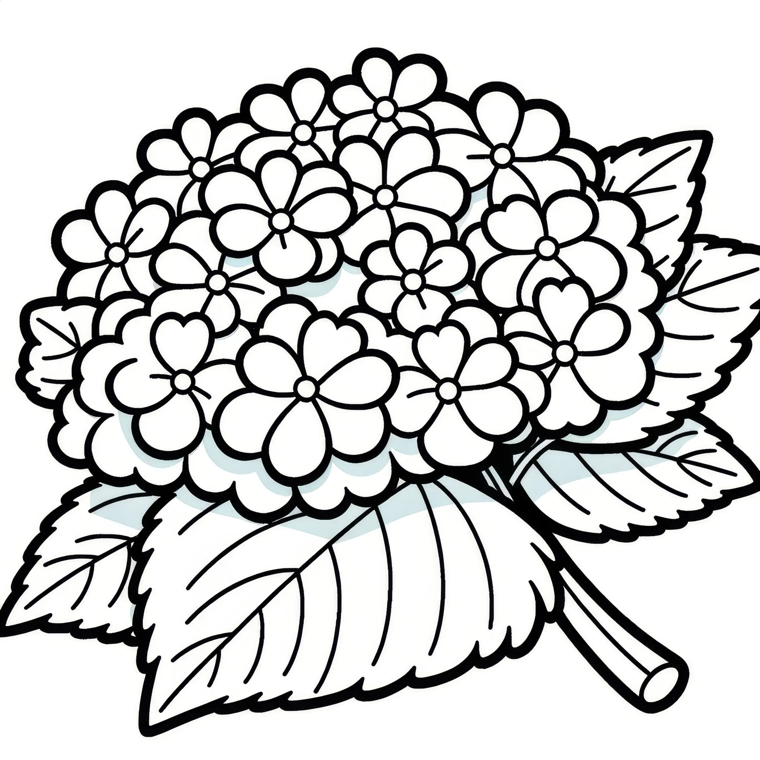 Hortensienblüten: Bild zum Ausmalen (Kostenlos) (Ausmalbild)
