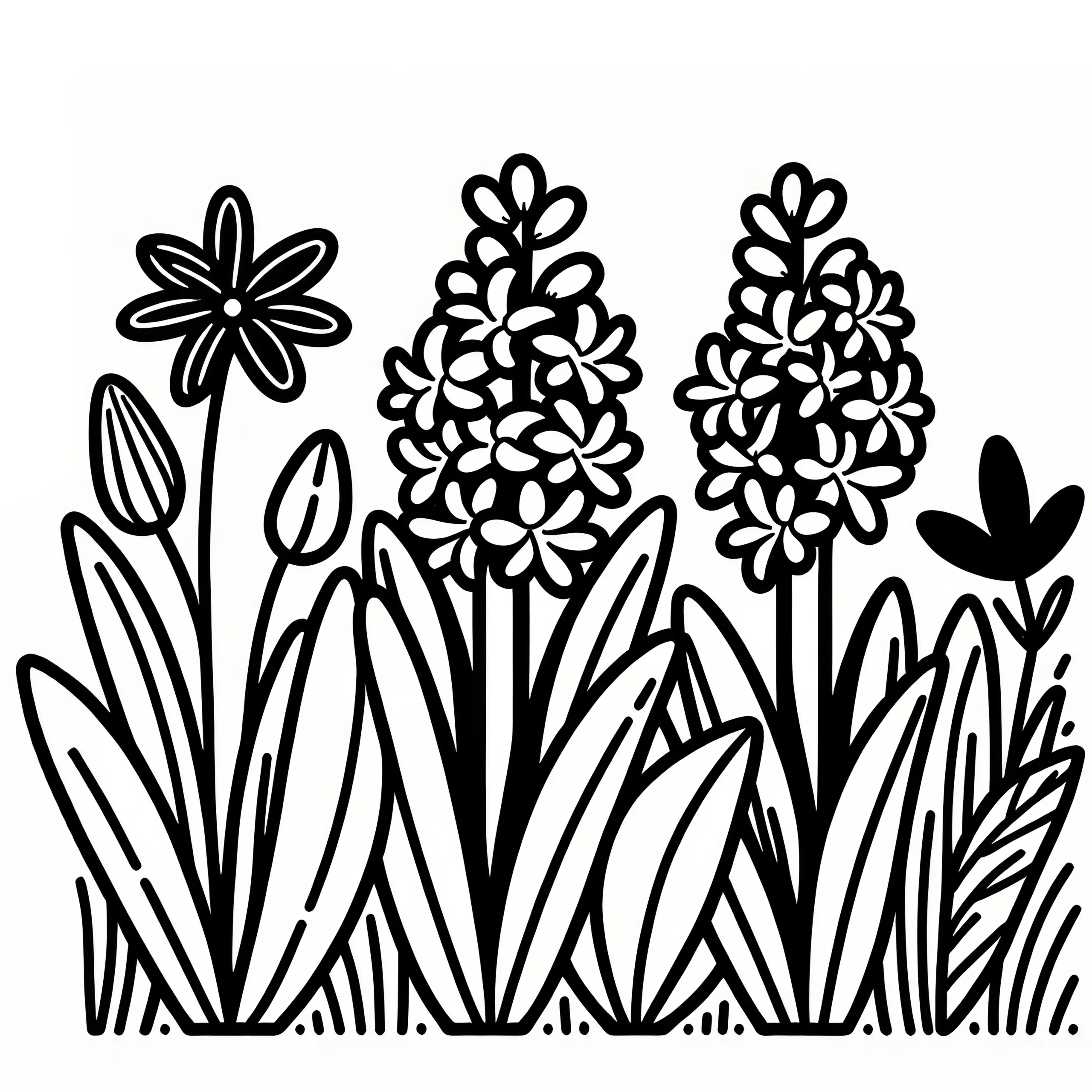 Hyazinthe: Frühlingsblume als Ausmalbild