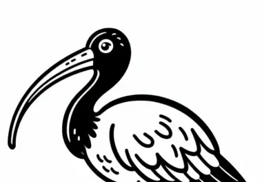 Ausmalbild eines Scharlachibis – Kostenloses Vogel-Motiv aus Südamerika