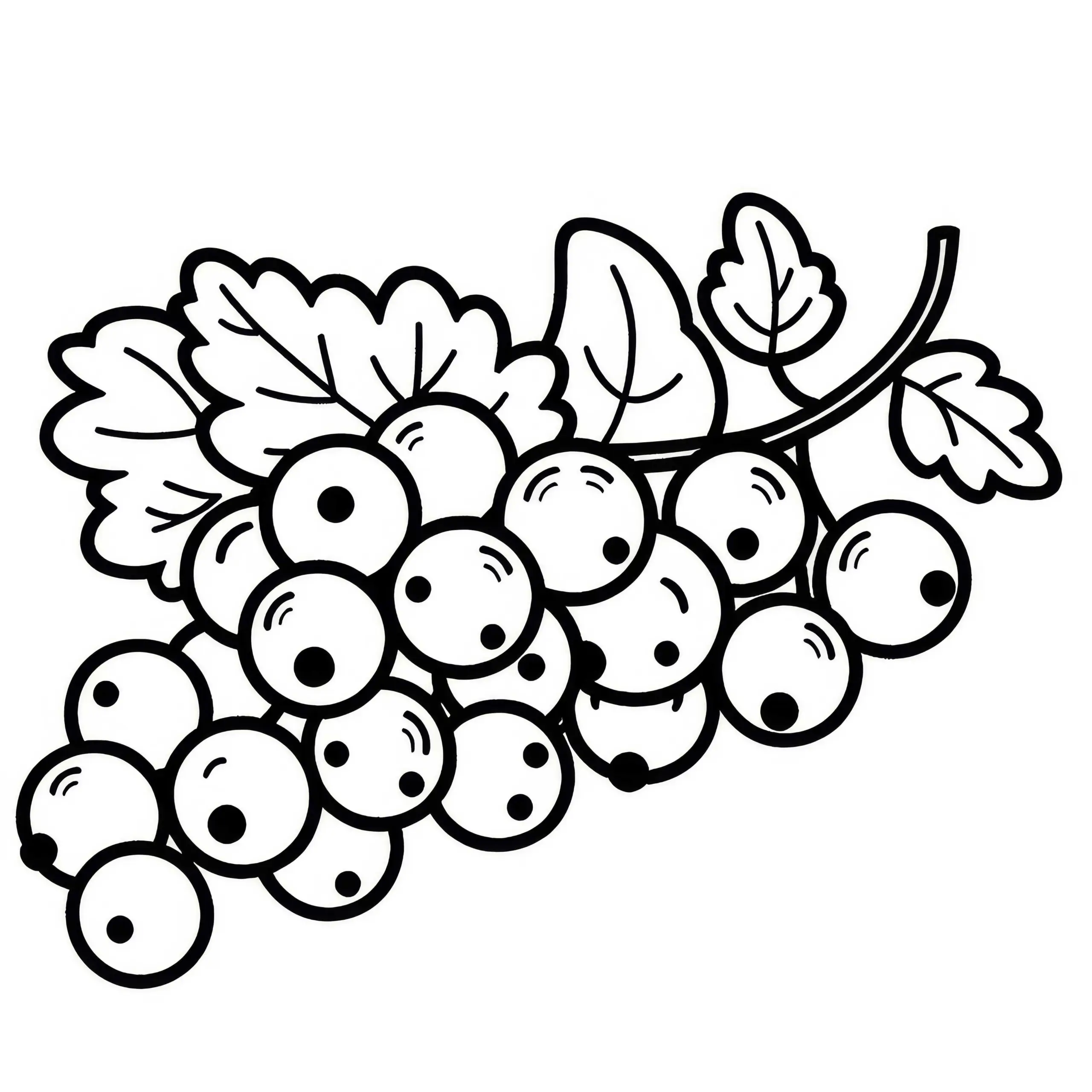 Kostenloses Ausmalbild von Johannisbeeren zum Herunterladen