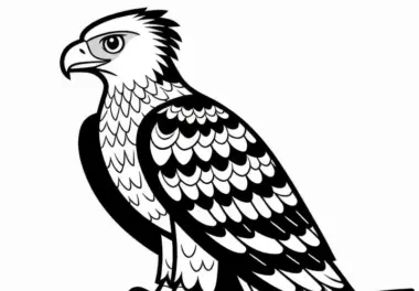 Kaffernadler | Martial Eagle | Vogel Afrika | Malvorlage Kostenlos