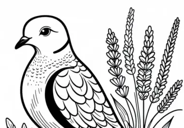 Kaptaube – Namaqua Dove – Vogel in Afrika – Malvorlage kostenlos