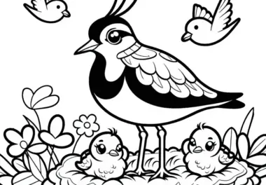 Kiebitz Vogel Europa Ausmalbild Gratis